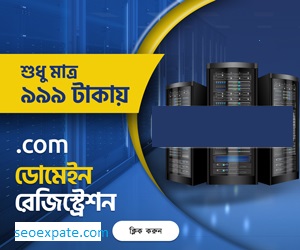 Domain hosting company