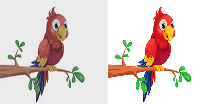  Raster to Vector Conversion